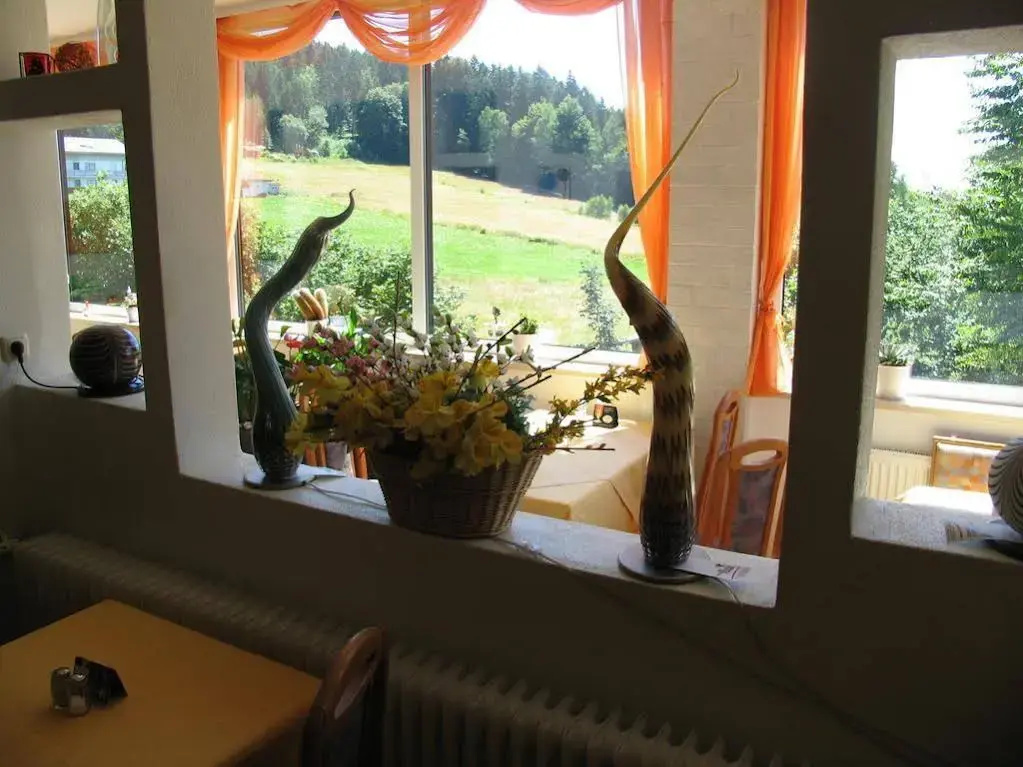 Ferien-Hotel Riesberghof - Général