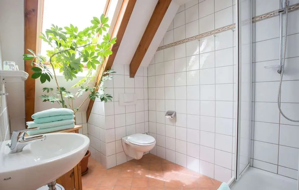 Hotel und Landgasthaus Zur grünen Erle - Général