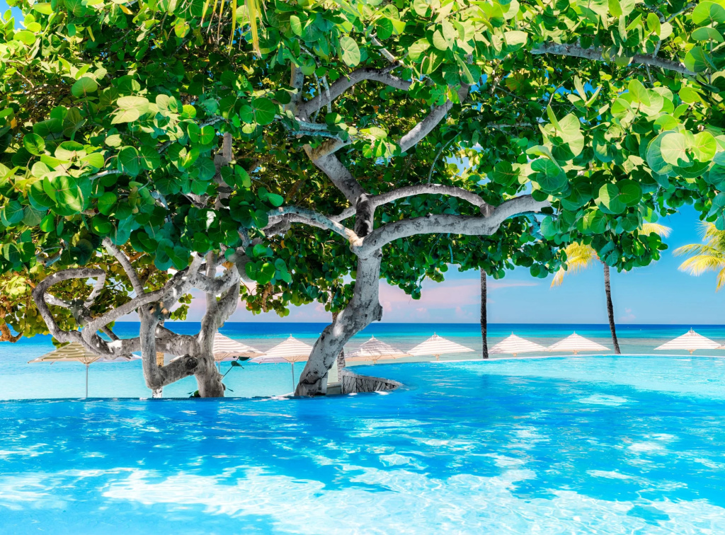 Grand Roatan Caribbean Resort - Général