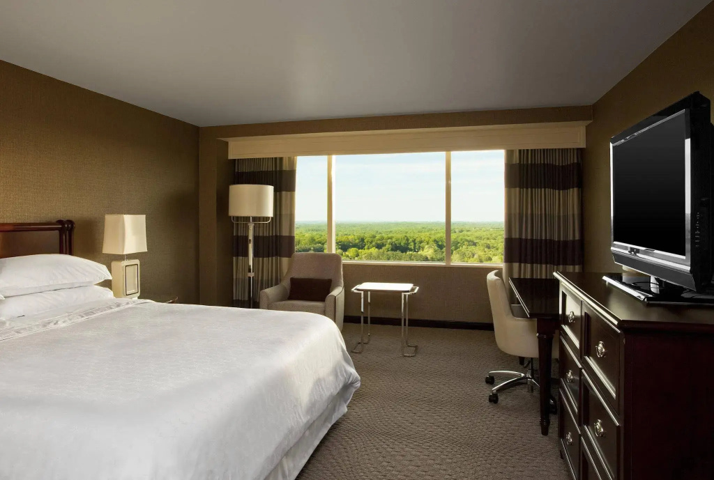 Sheraton Tysons Hotel - Général