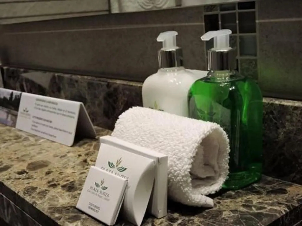 Hotel Plaza Suites - Chambres