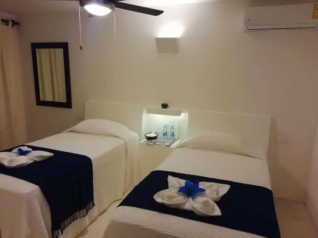 Standard Double room (twin beds)