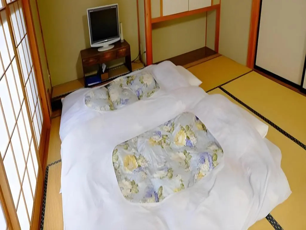 Ryokan Fujiya — 4