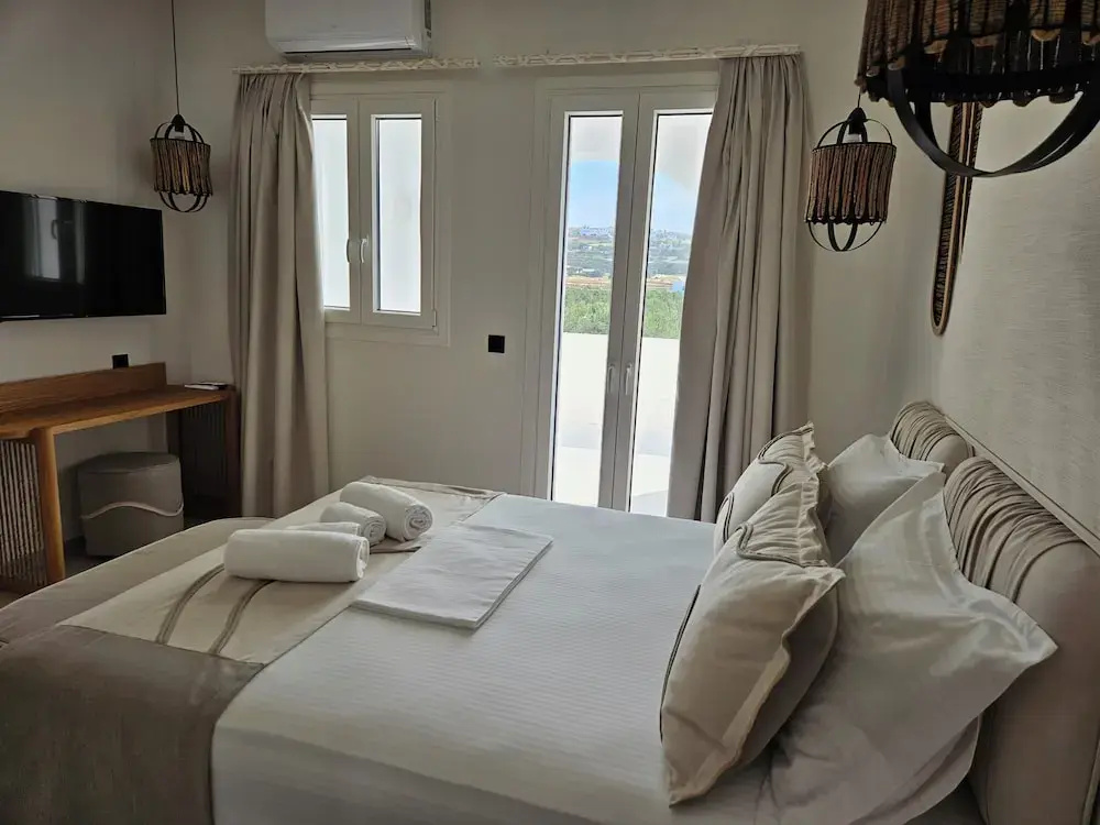 Premium Suite