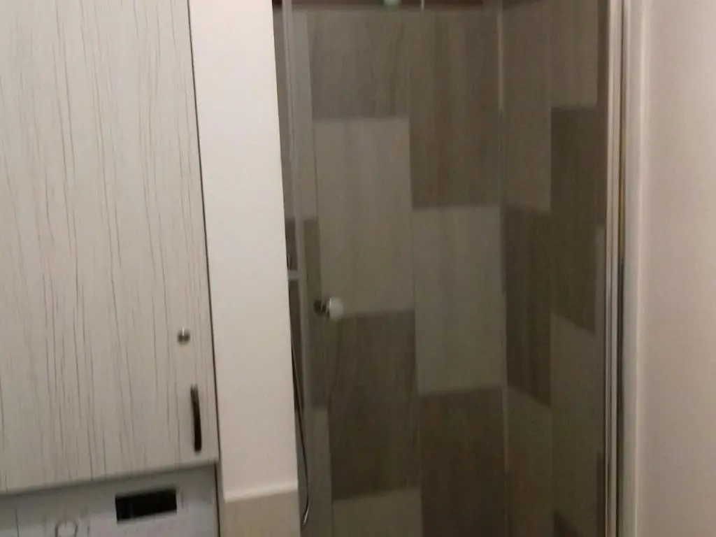 Apartament central V&P