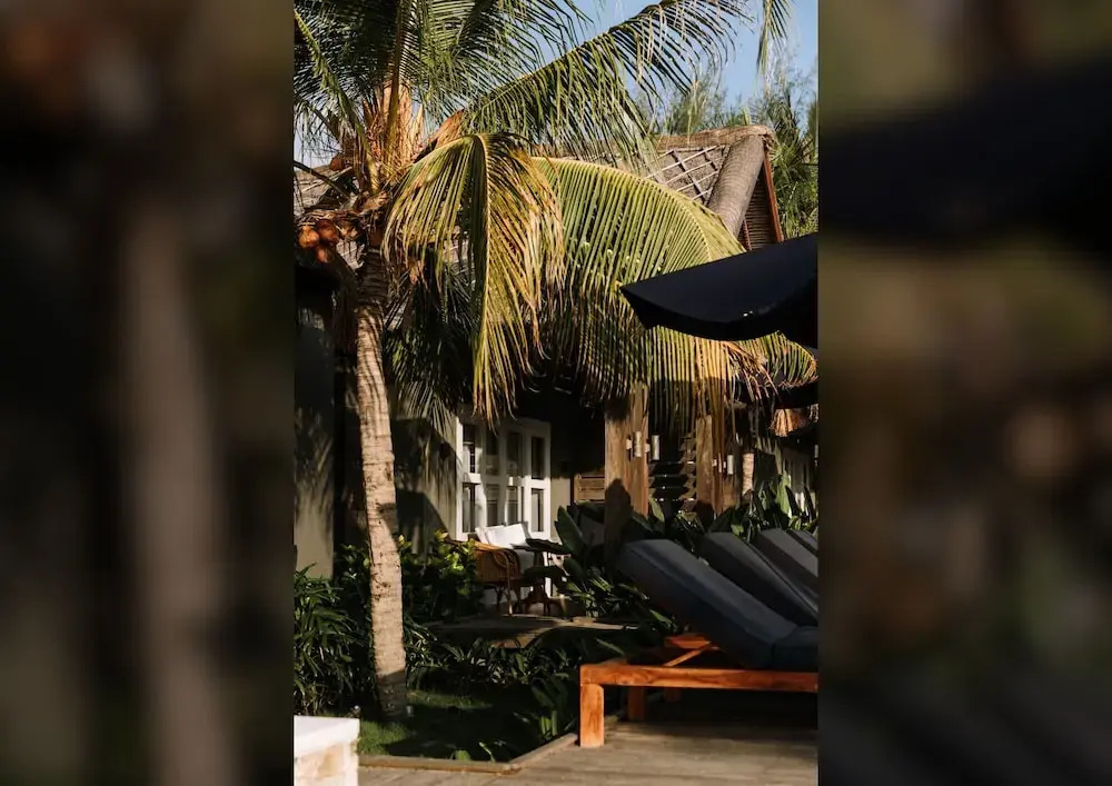 Meno House - Général