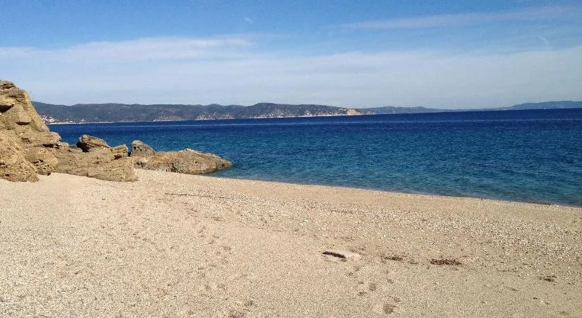 Beach & Waterfront
