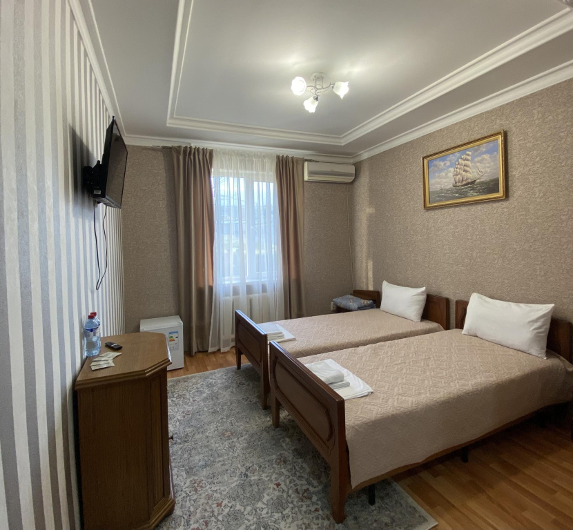 Standard Double room (twin beds)
