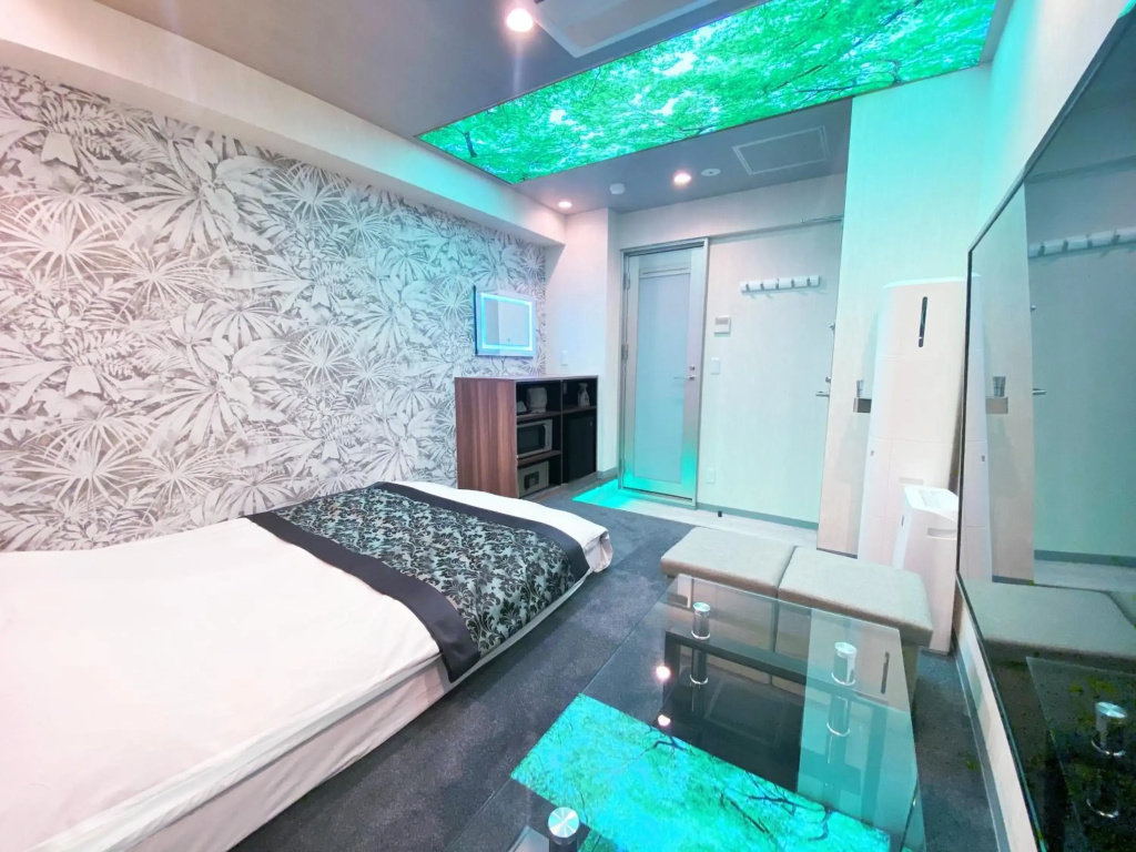 HOTEL THE HOTEL Shinjuku Kabukicho - Adults Only - Général