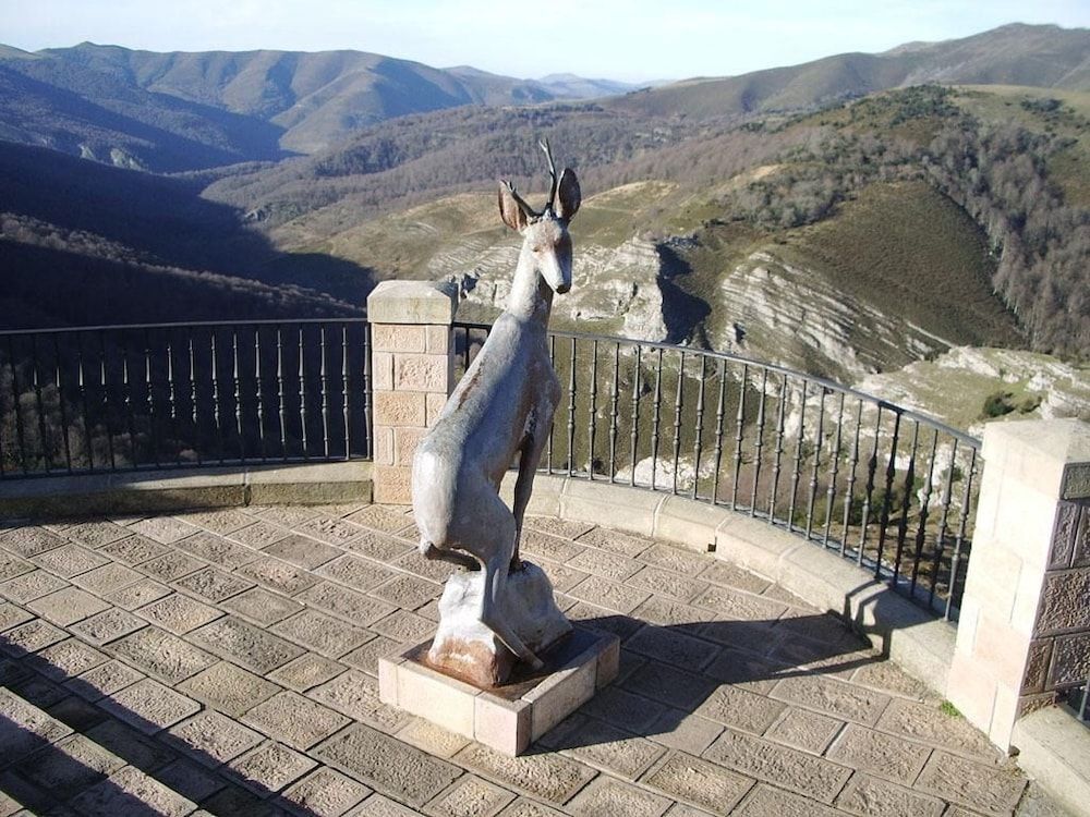 Image 19