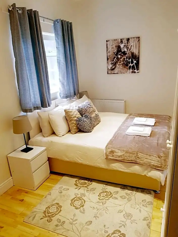 Deluxe Double room (full double bed)