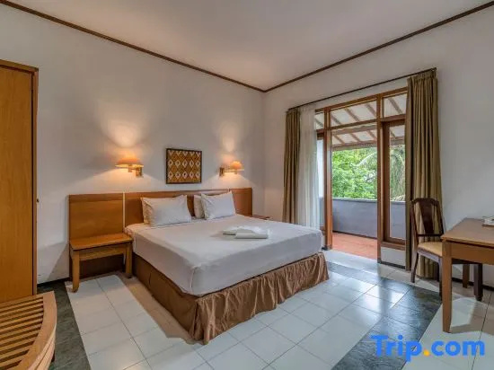 Deluxe Double room (full double bed)