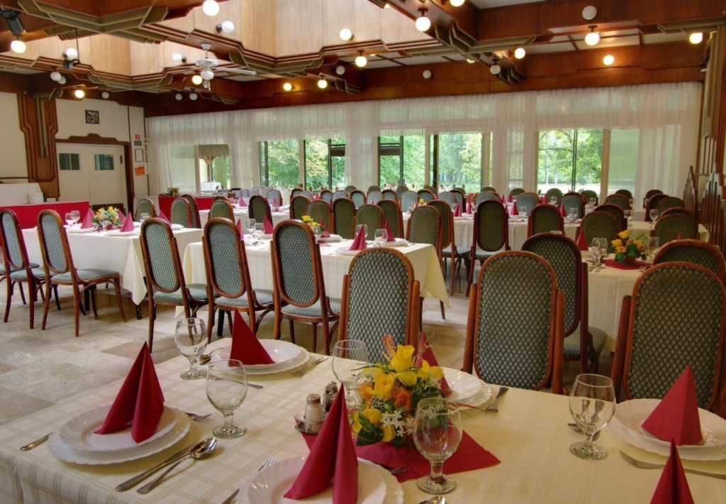 Park Hotel Gyula - Général