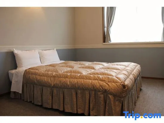 Standard Double room with ocean view (full double bed)