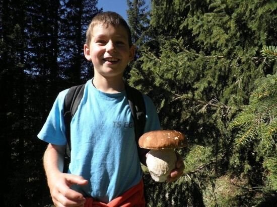 Ferienwohnung Kaufmann