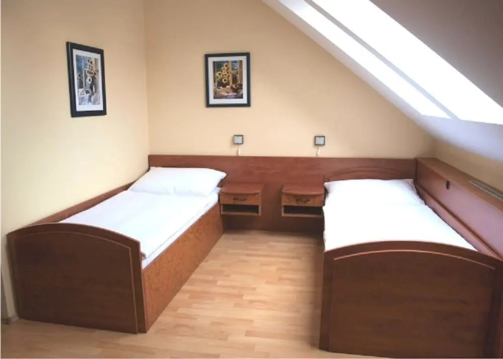 Standard Double room (twin beds)