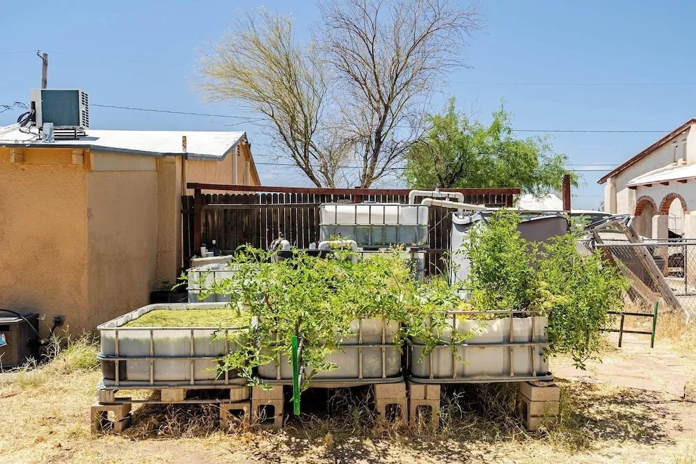 Desert Aquaponic Garden