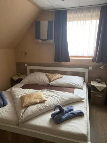 Abszolút Panzió - фото 6