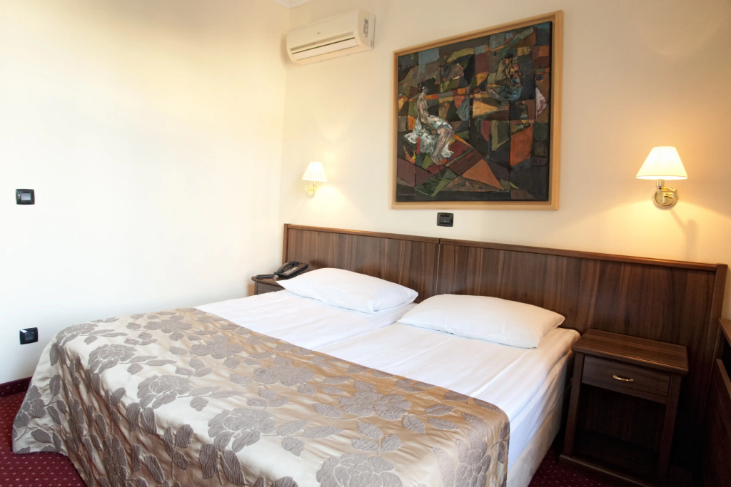 Hotel Continental - фото 5