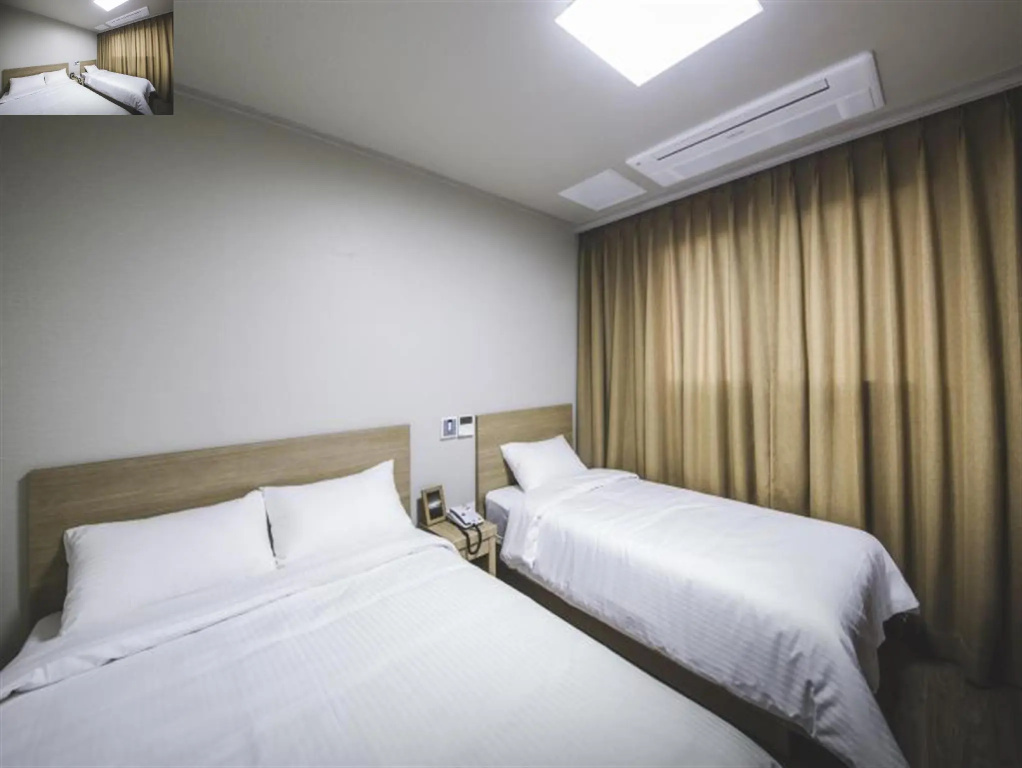 Deluxe Double room (twin beds)