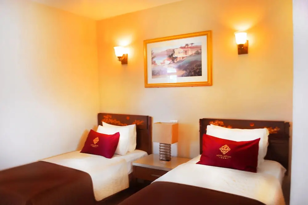 Standard Double room (twin beds)