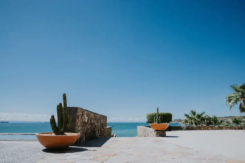 Orchid House Baja & Beach Club - фото 25