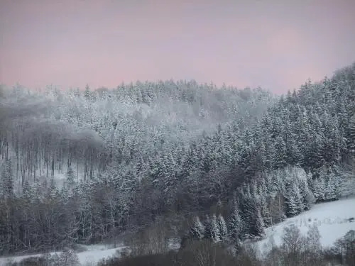 Rezydencja Terra Sudeta
