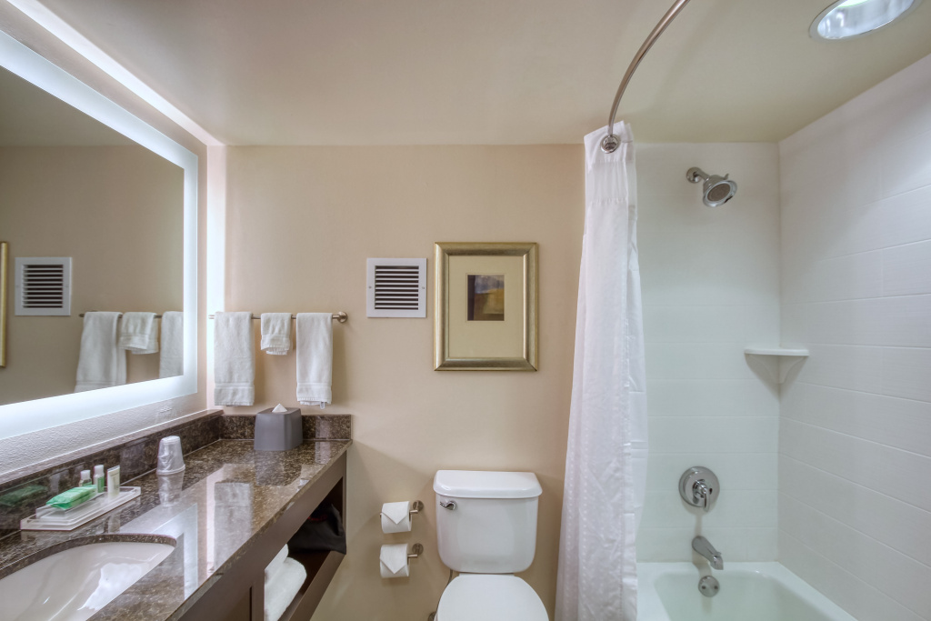 Holiday Inn Hotel & Suites Atlanta Airport-North by IHG - Général