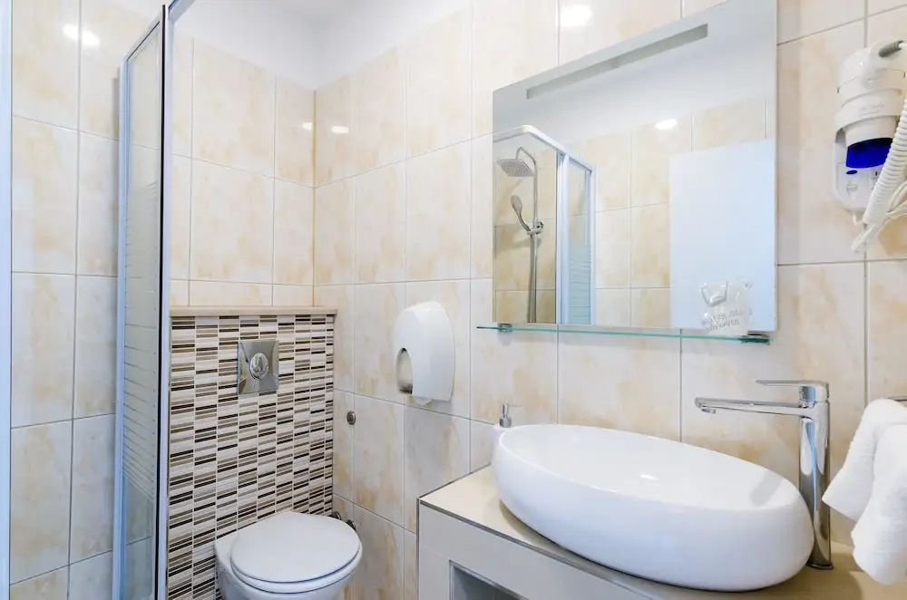 1 Bedroom Standard Apartment