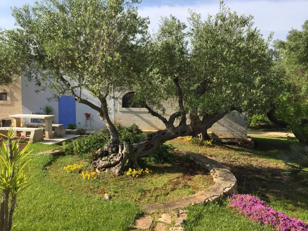 Superior Villa