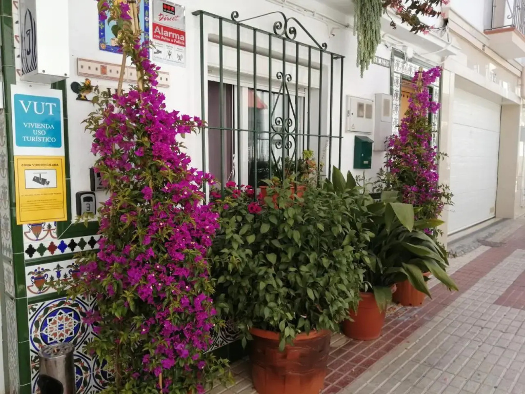 Hotel photo 37