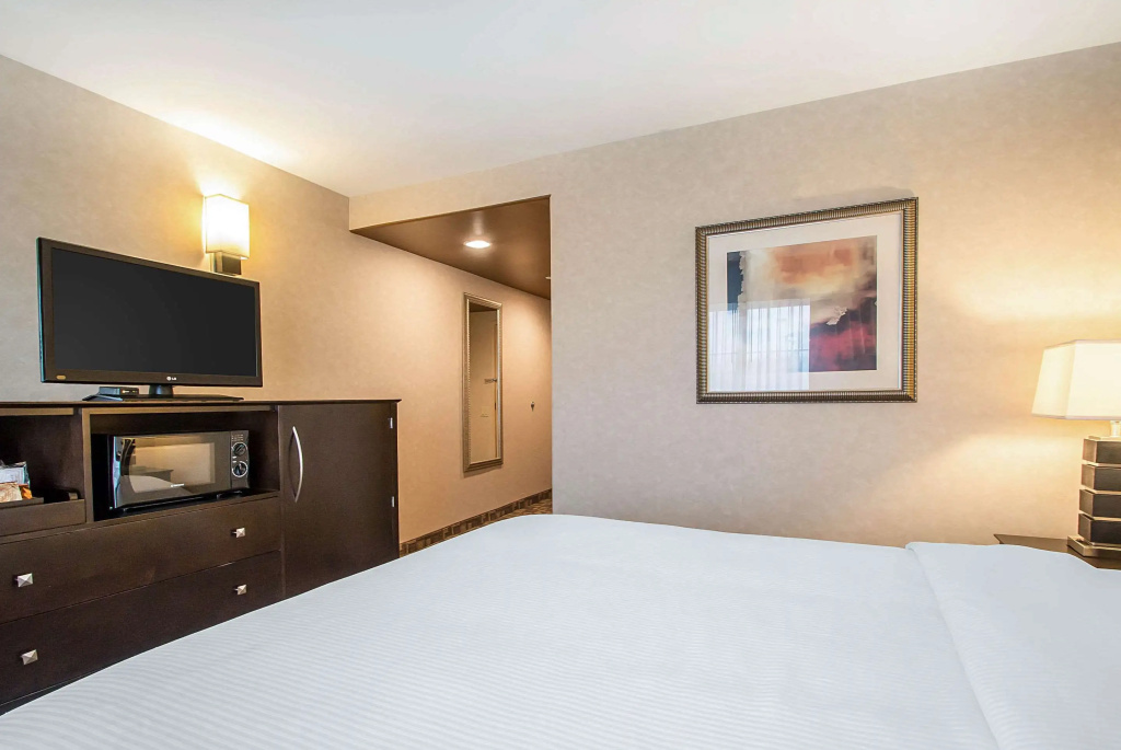 Clarion Inn Elmhurst - Oak Brook near I-88, I-290, I-294 - Général