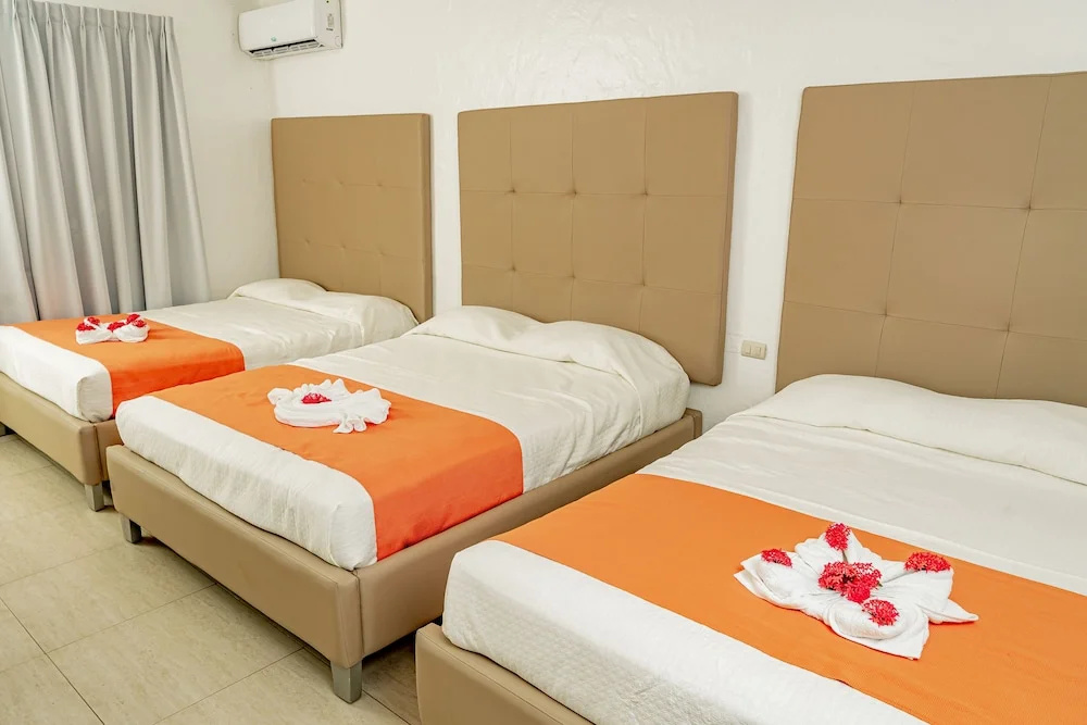Hotel Palma Real - Chambres