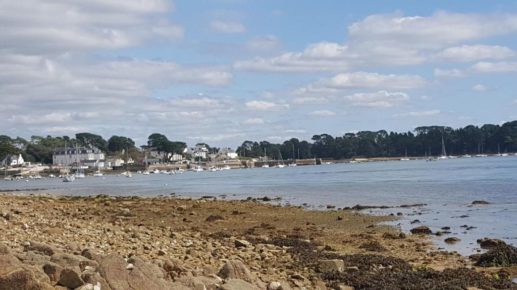 Image 13