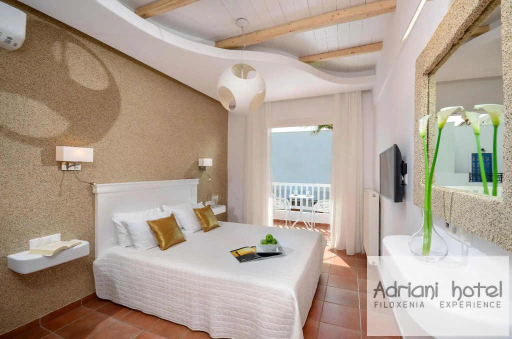 Standard Double room with balcony (full double bed)