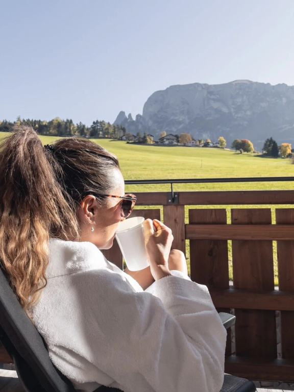 Standard room with balcony and with mountain view