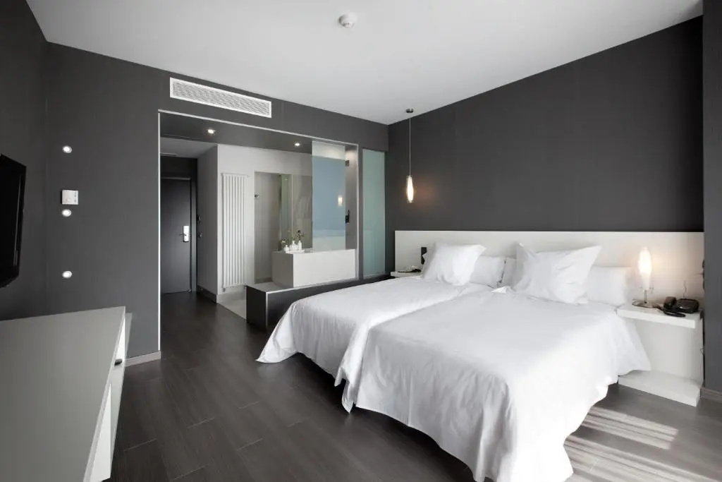 Standard Double room (twin beds)