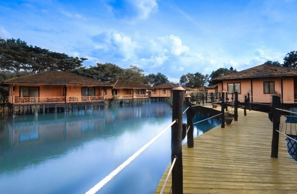 Viewpoint Ecolodge — фото 6