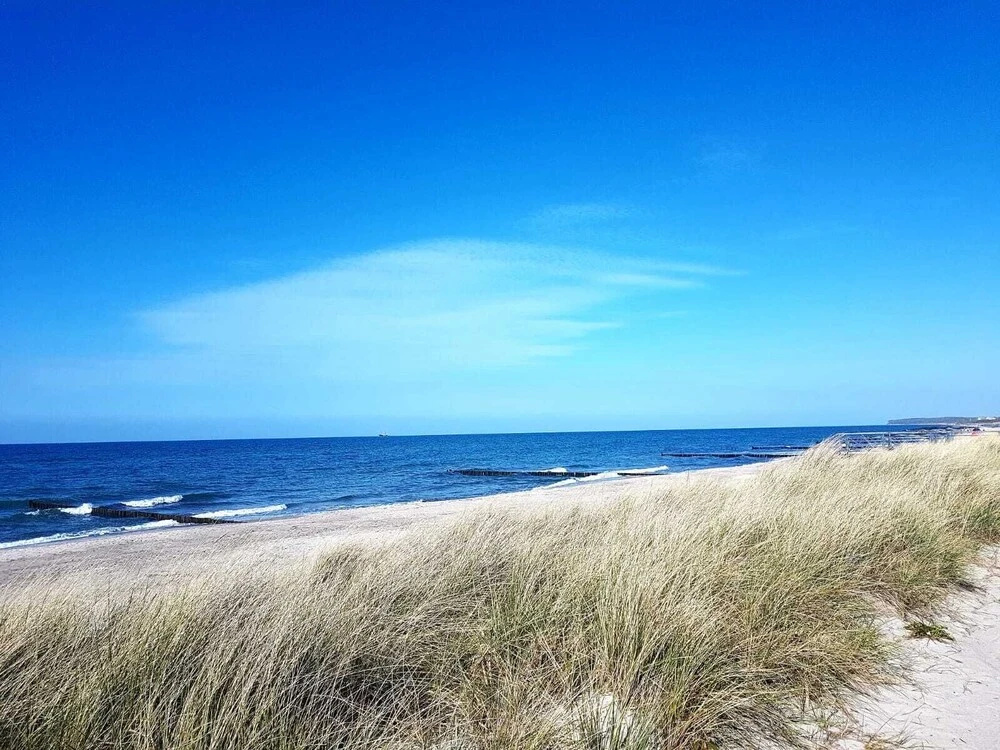 Beach & Waterfront