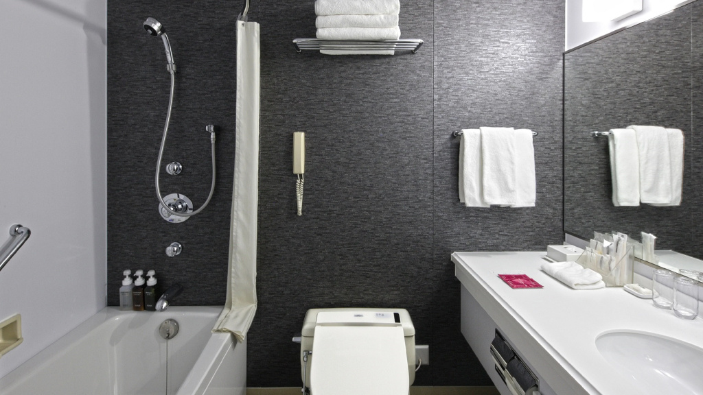 ANA Crowne Plaza Niigata by IHG - Général