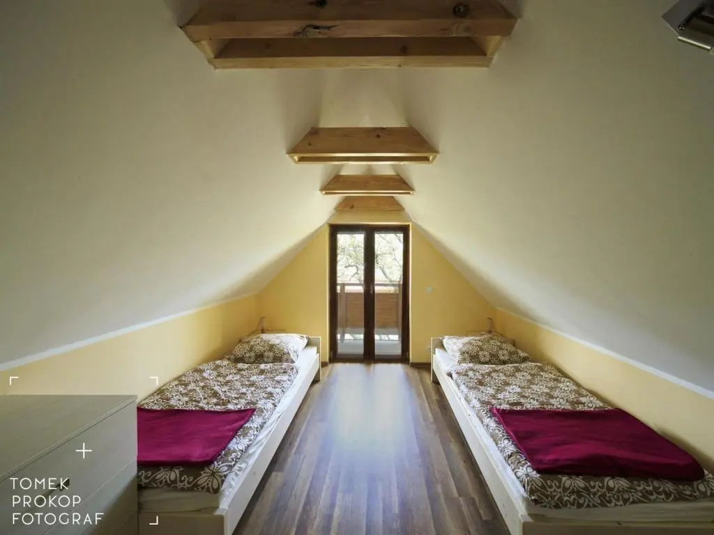 Standard Double room with garden view (twin beds)