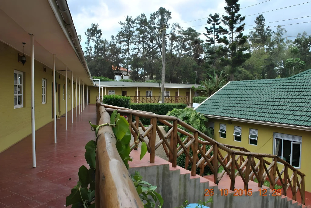 Little Woods Inn - Général