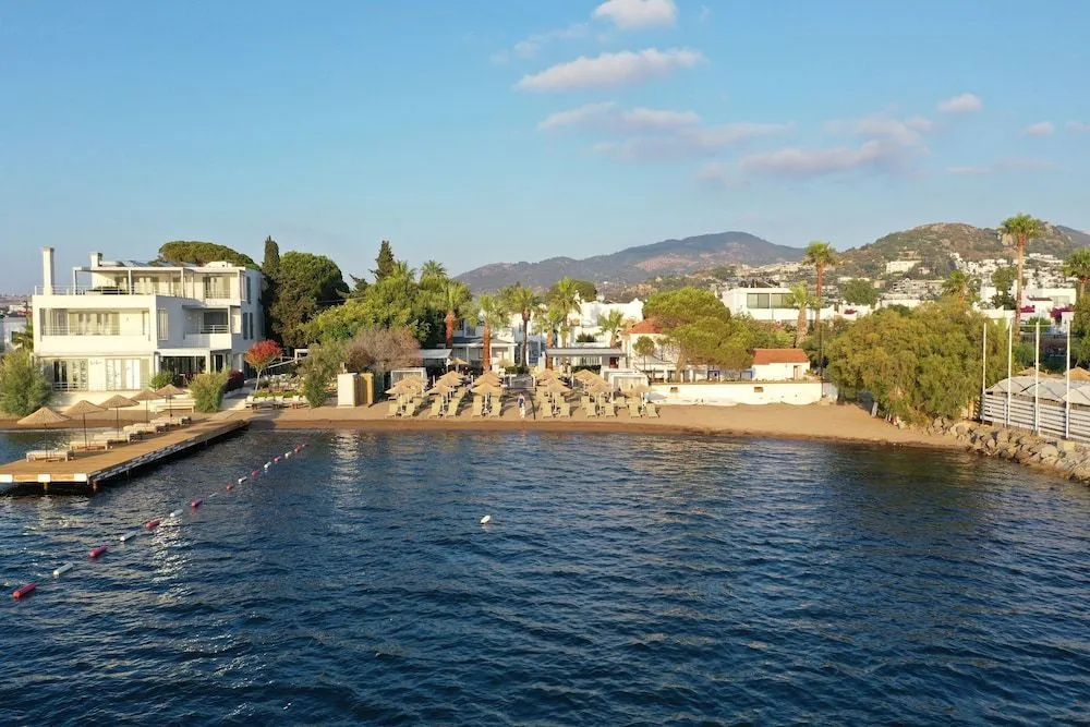 Beach & Waterfront