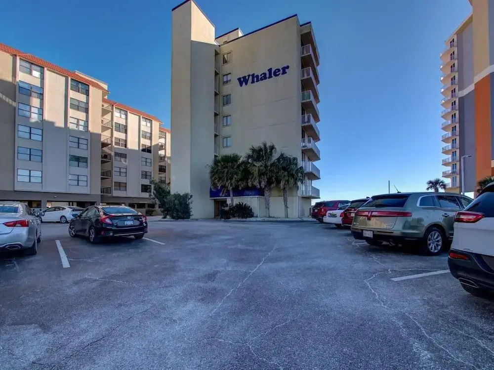 The Whaler B6