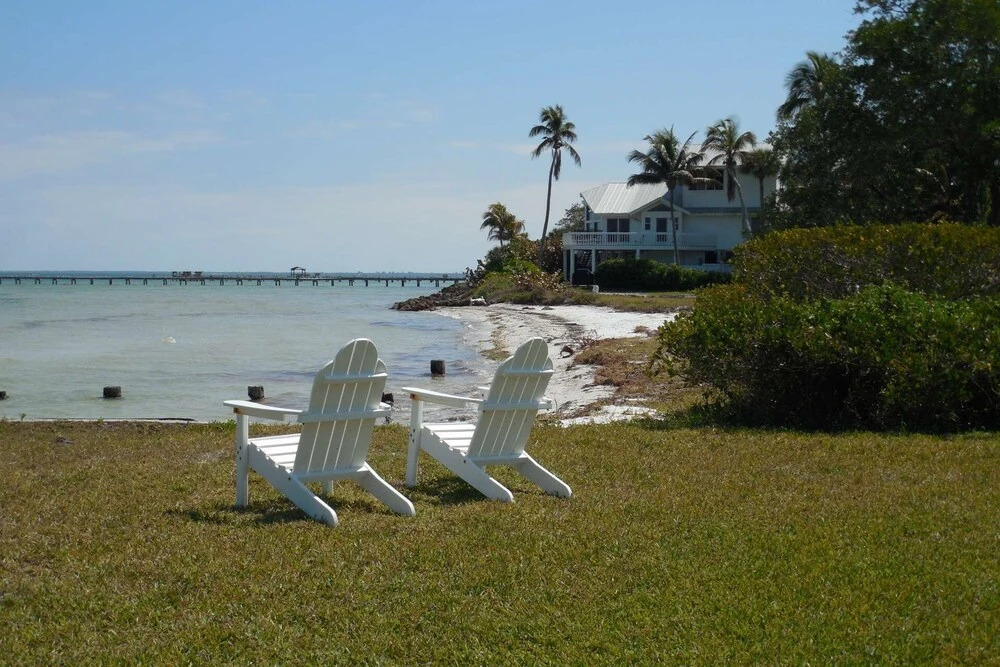 Image 19
