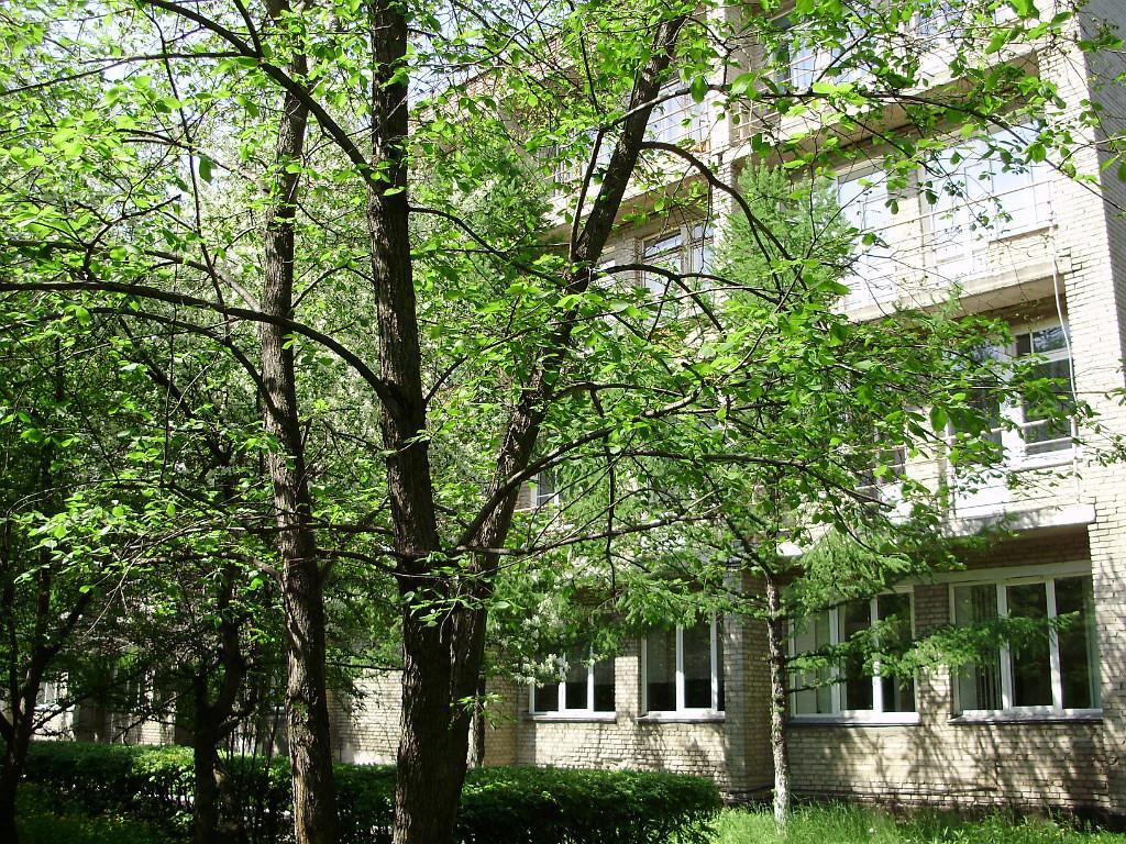 барабинск профилактории. барабинск профилактории. барабинск профилактории. мку "профилакторий "бараба. профилакторий бараба барабинск.