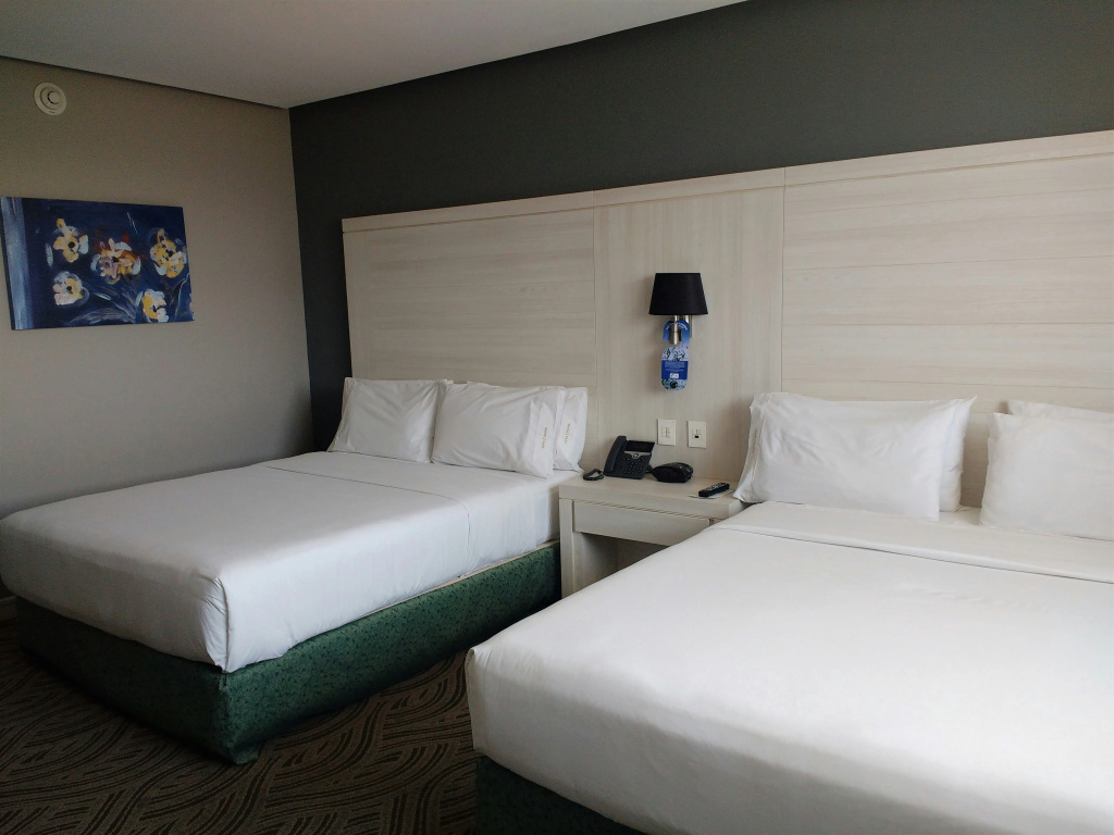 Holiday Inn Express Pachuca by IHG - Général