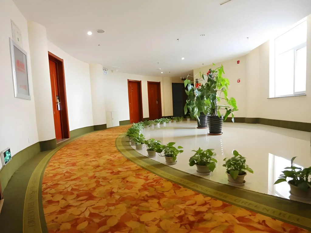 GreenTree Inn Chaoyang City Chaoyang Street Fangzhi Road Express Hotel - Général
