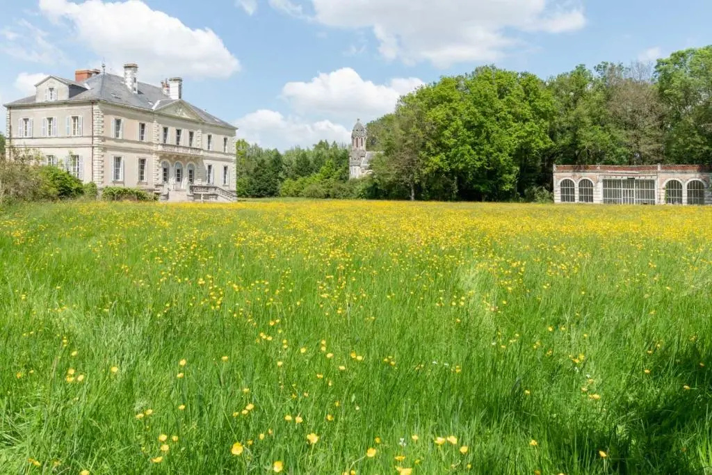 Afficher la photo 8 — Chateau du Hallay