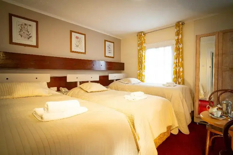 Ashley Hotel - Chambres